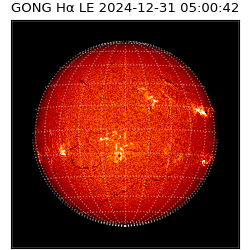 gong - 2024-12-31T05:00:42