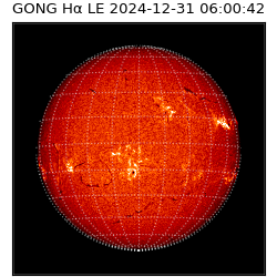 gong - 2024-12-31T06:00:42