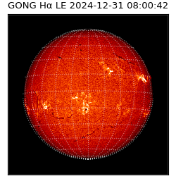 gong - 2024-12-31T08:00:42