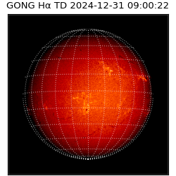 gong - 2024-12-31T09:00:22