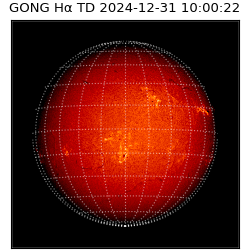 gong - 2024-12-31T10:00:22