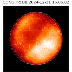 gong - 2024-12-31T16:06:02