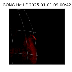 gong - 2025-01-01T09:00:42