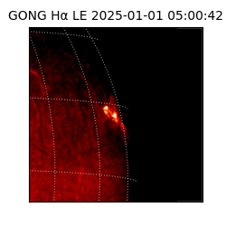 gong - 2025-01-01T05:00:42