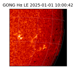 gong - 2025-01-01T10:00:42