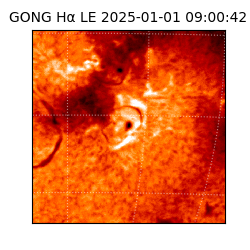 gong - 2025-01-01T09:00:42