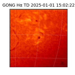 gong - 2025-01-01T15:02:22