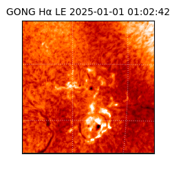 gong - 2025-01-01T01:02:42