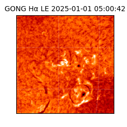 gong - 2025-01-01T05:00:42