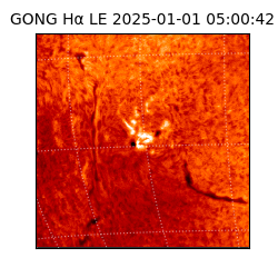 gong - 2025-01-01T05:00:42