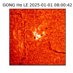 gong - 2025-01-01T08:00:42