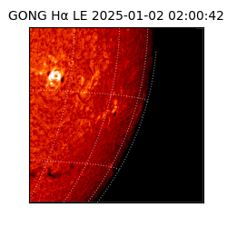 gong - 2025-01-02T02:00:42