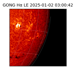 gong - 2025-01-02T03:00:42