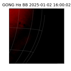 gong - 2025-01-02T16:00:02