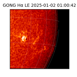 gong - 2025-01-02T01:00:42