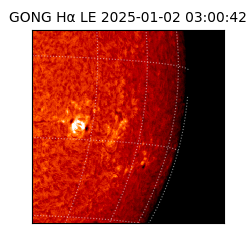 gong - 2025-01-02T03:00:42