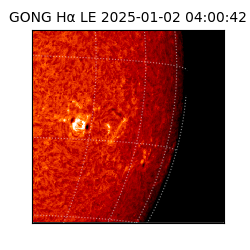 gong - 2025-01-02T04:00:42