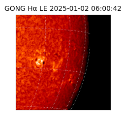 gong - 2025-01-02T06:00:42