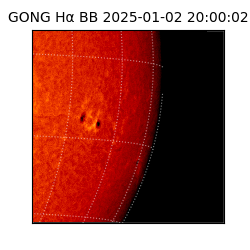 gong - 2025-01-02T20:00:02