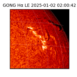 gong - 2025-01-02T02:00:42