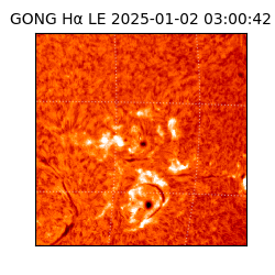 gong - 2025-01-02T03:00:42