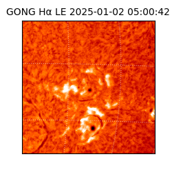 gong - 2025-01-02T05:00:42