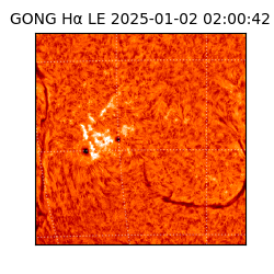 gong - 2025-01-02T02:00:42