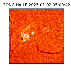 gong - 2025-01-02T05:00:42