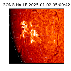 gong - 2025-01-02T05:00:42