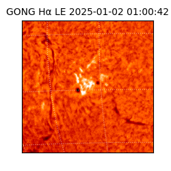 gong - 2025-01-02T01:00:42