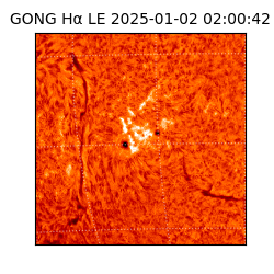 gong - 2025-01-02T02:00:42