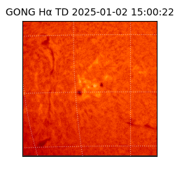 gong - 2025-01-02T15:00:22