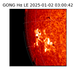 gong - 2025-01-02T03:00:42