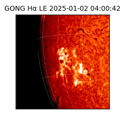 gong - 2025-01-02T04:00:42