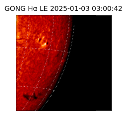 gong - 2025-01-03T03:00:42