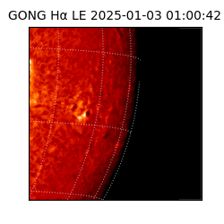 gong - 2025-01-03T01:00:42