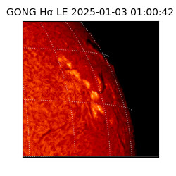 gong - 2025-01-03T01:00:42
