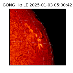 gong - 2025-01-03T05:00:42