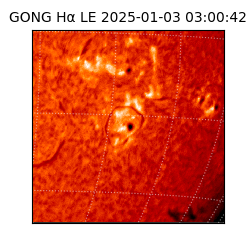 gong - 2025-01-03T03:00:42