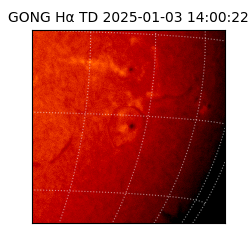 gong - 2025-01-03T14:00:22