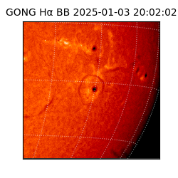 gong - 2025-01-03T20:02:02