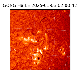 gong - 2025-01-03T02:00:42