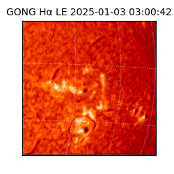 gong - 2025-01-03T03:00:42