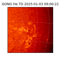 gong - 2025-01-03T09:00:22