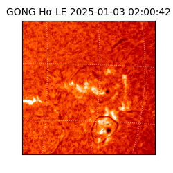 gong - 2025-01-03T02:00:42