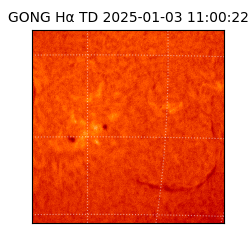 gong - 2025-01-03T11:00:22