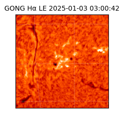 gong - 2025-01-03T03:00:42