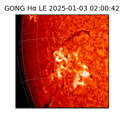 gong - 2025-01-03T02:00:42