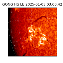 gong - 2025-01-03T03:00:42