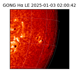 gong - 2025-01-03T02:00:42
